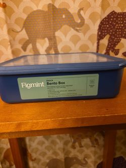 #15 Snack Bento Box