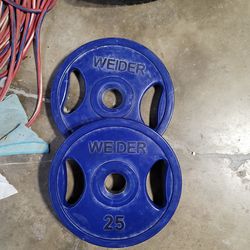 Weider 25lb weights
