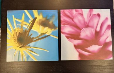 Flower Canvas Wall Art Set 12x12 Stretched Prints