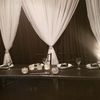 Wynter Party Rentals 🎉