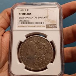 1921 Graded Morgan Dollar 