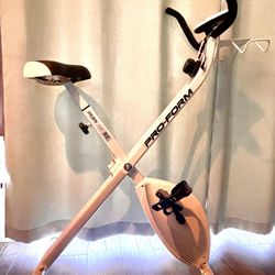 Fitness Exercise Folding Bike