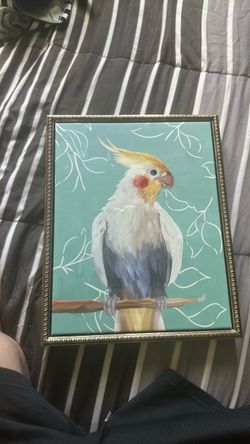 Bird picture