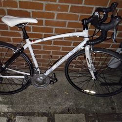 Super Light SPECIALIZED (Dolce Elliete)