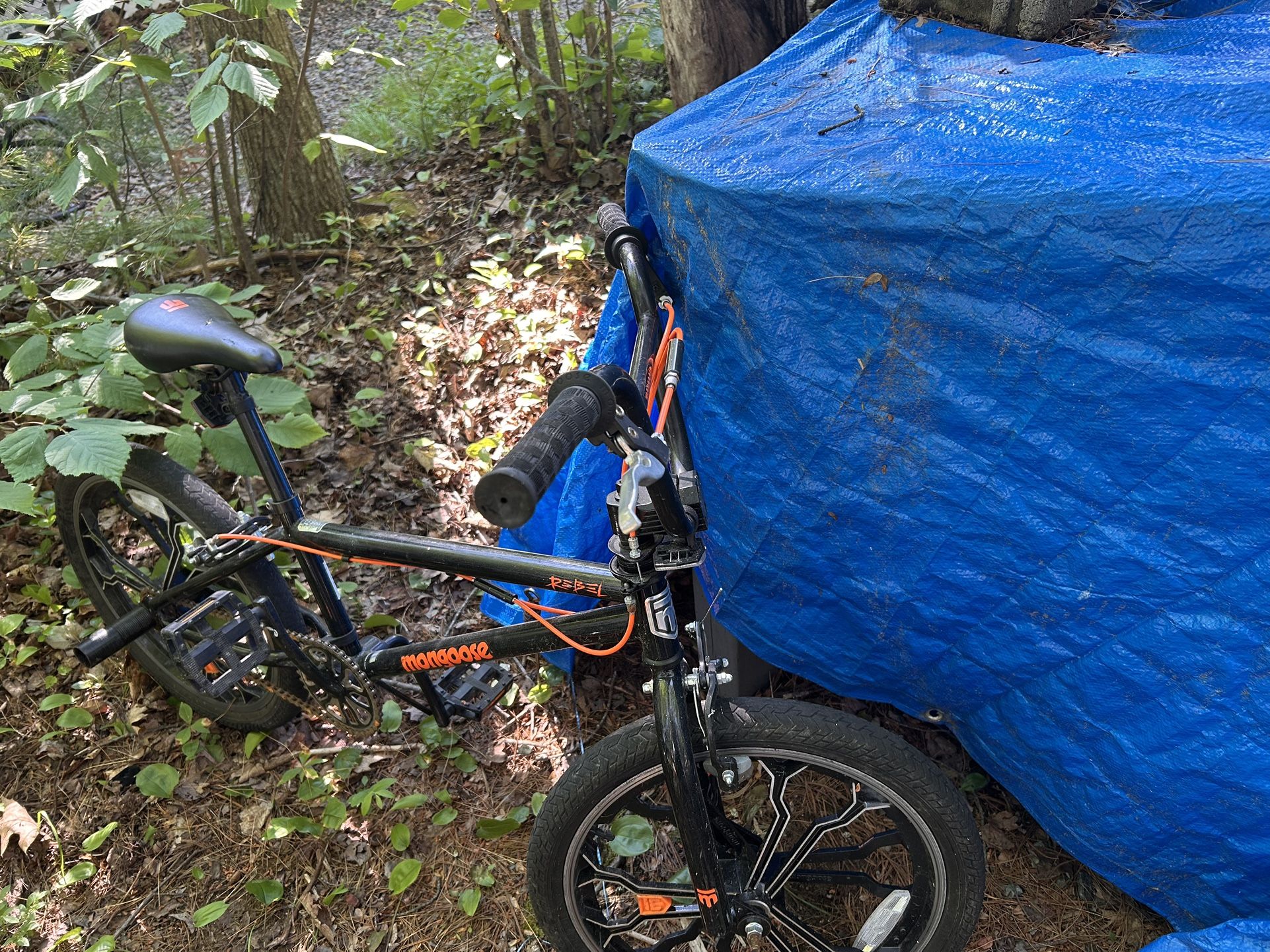 Mongoose 20” Bike