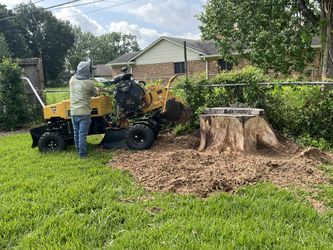 Stump Grinder