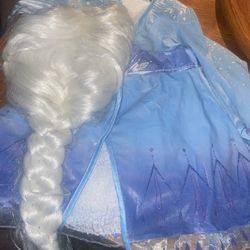 Elsa Costume With Wig 2t Worn Once 