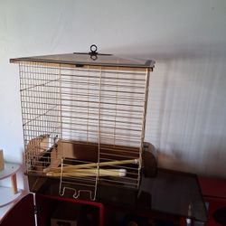 Bird Cage 