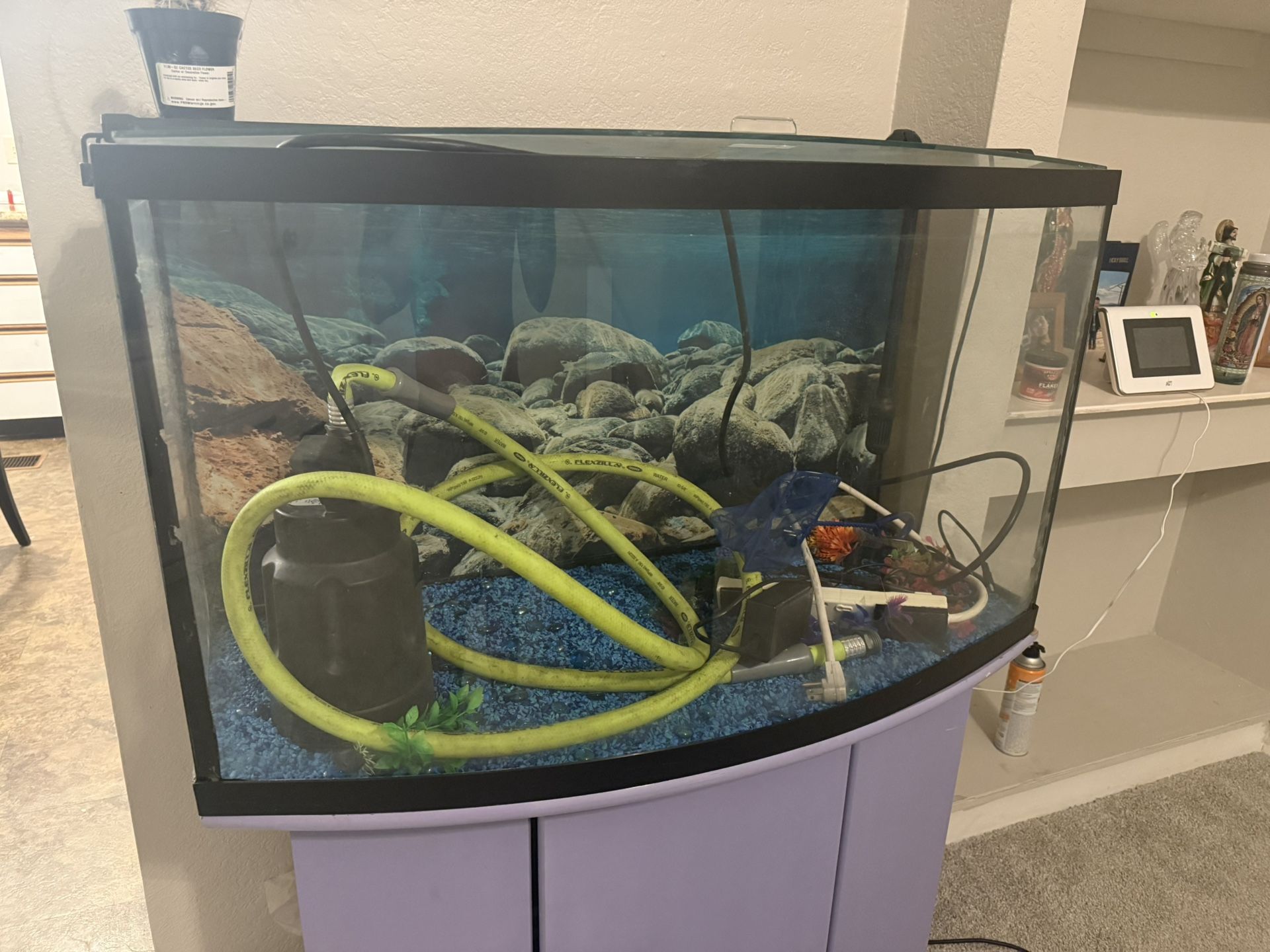 Fish Thank