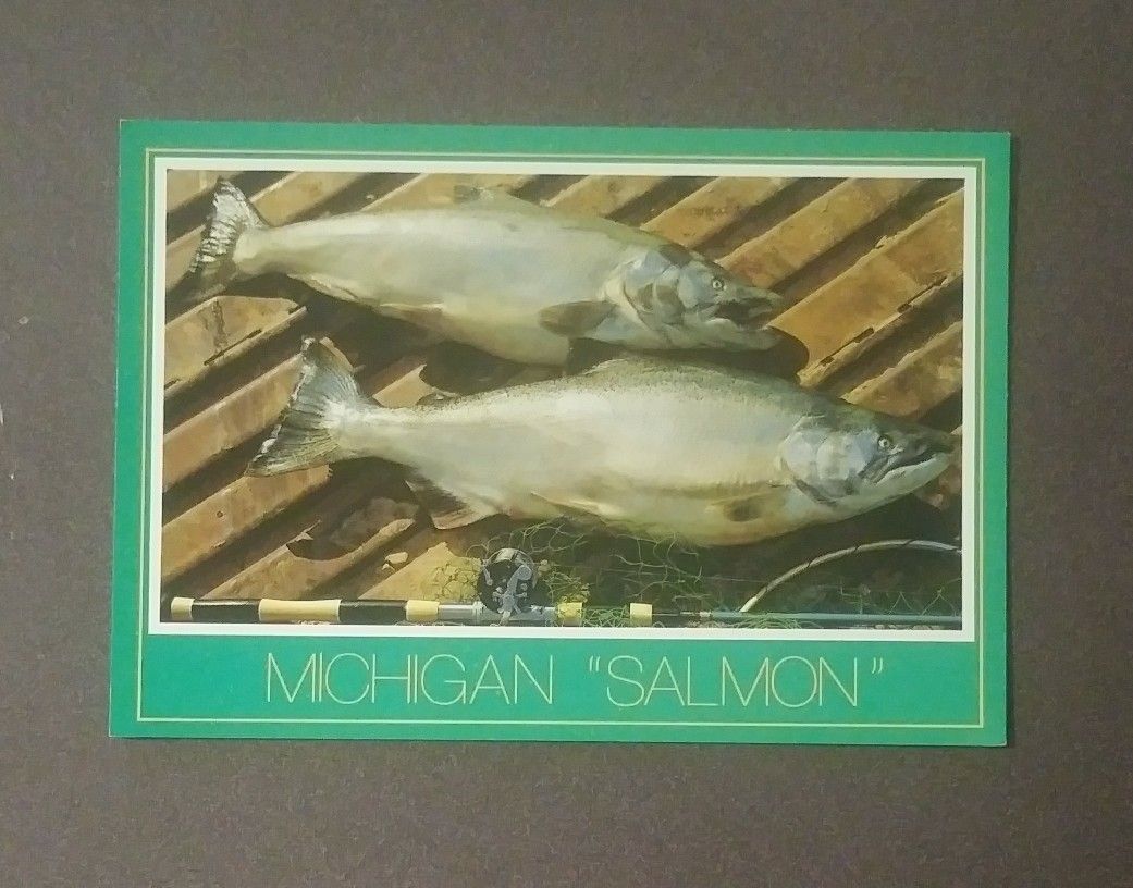 Michigan Chinook Salmon Fish Fishing Rod Net John Penrod Hiawatha Unused Vintage Collectible Postcard Post Card RPPC PC