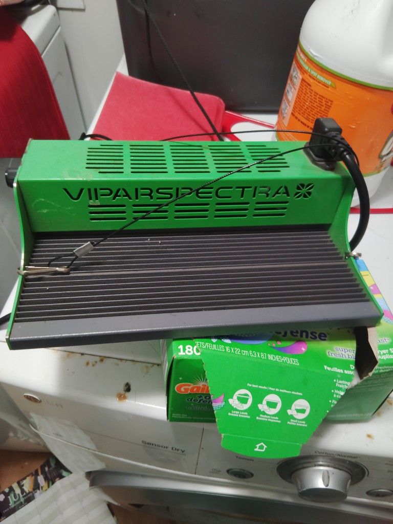 600 Watt Light