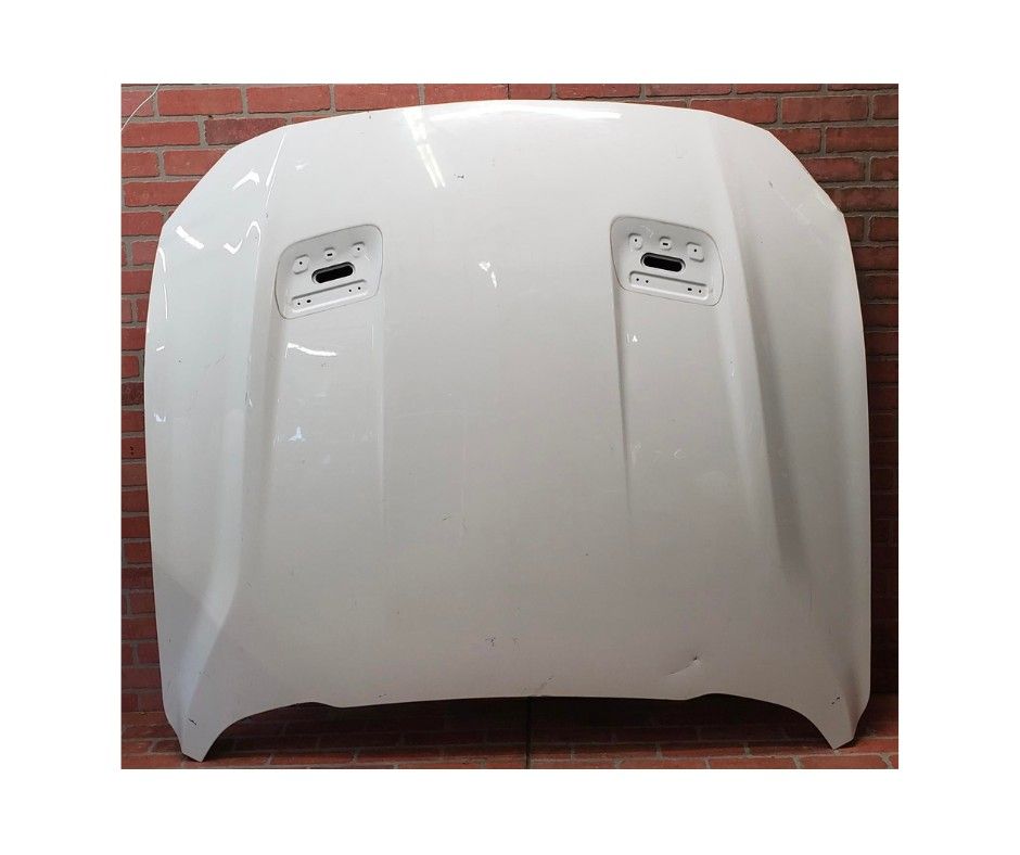 2018 2019 2020 2021 2022 FORD MUSTANG GT FRONT HOOD PANEL BONNET SHELL COVER OEM