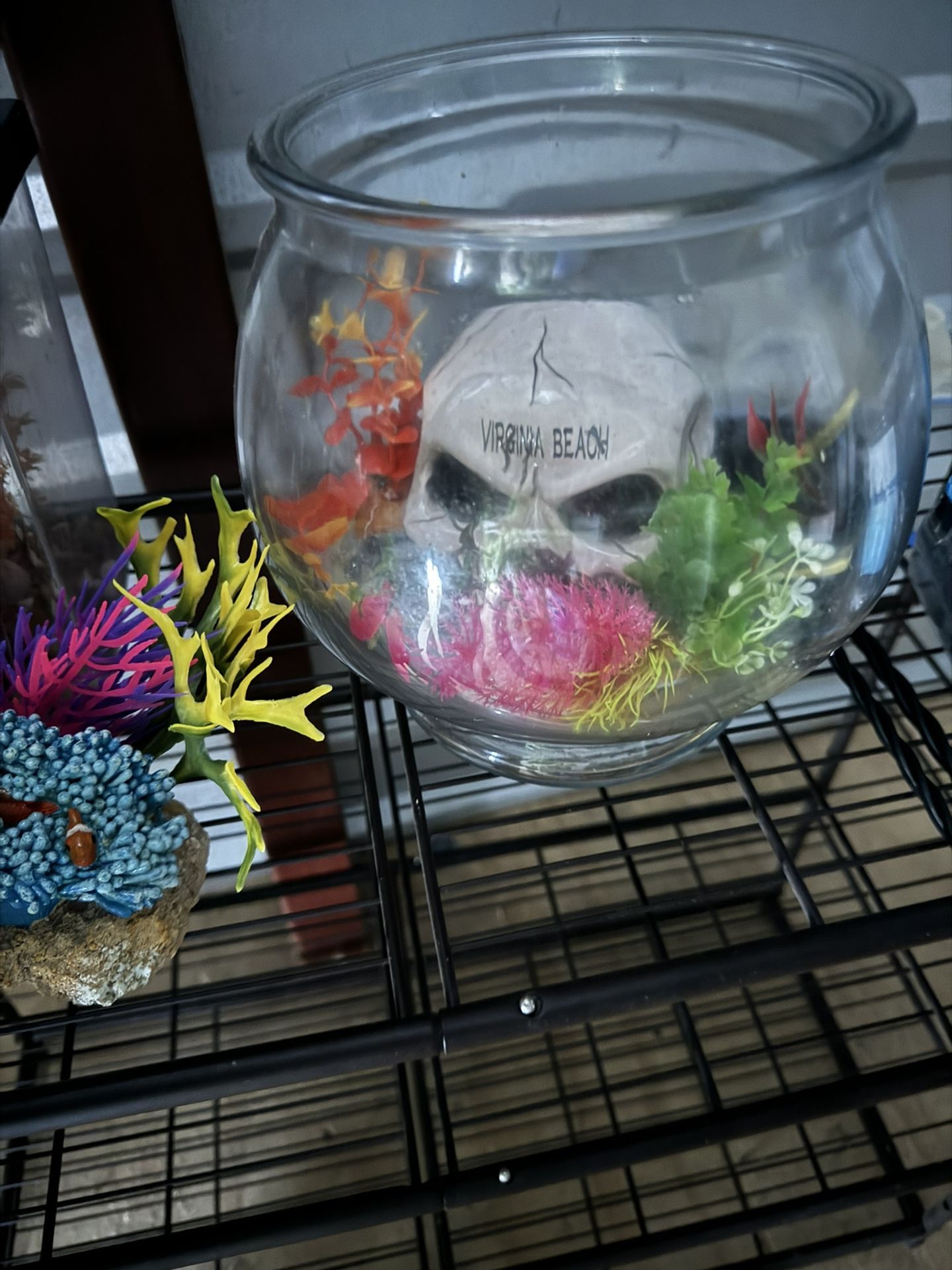 Fish Tank 1 Gallon