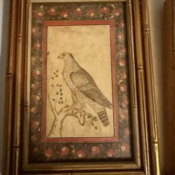 Falcon perched on a leafy stump - MUGHAL SCHOOL