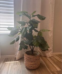 Artificial Fiddle Leaf Plant