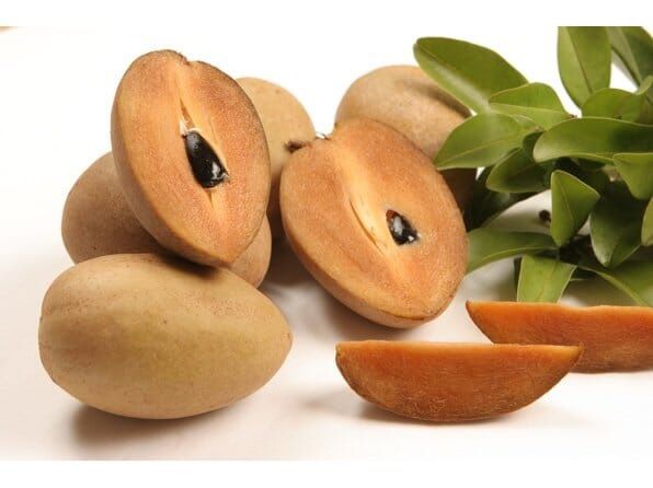 Alano Sapodilla Fruit Tree, Airlayer