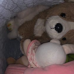 Kids Toys 