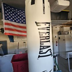 Everlast 70-lb Heavy Bag – Like New 