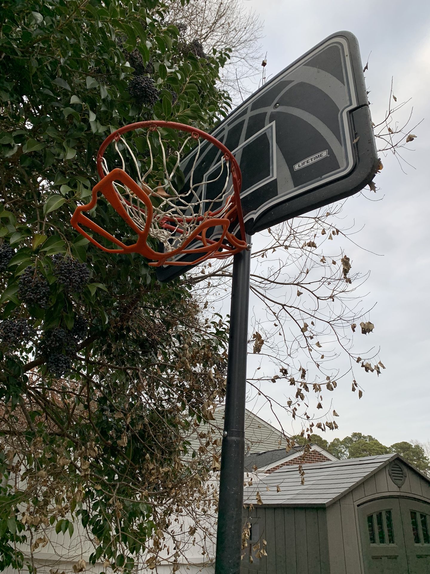 Basketball Hoop