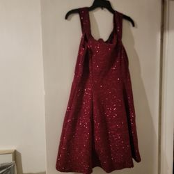 Glittery Shimmery Burgundy Dress