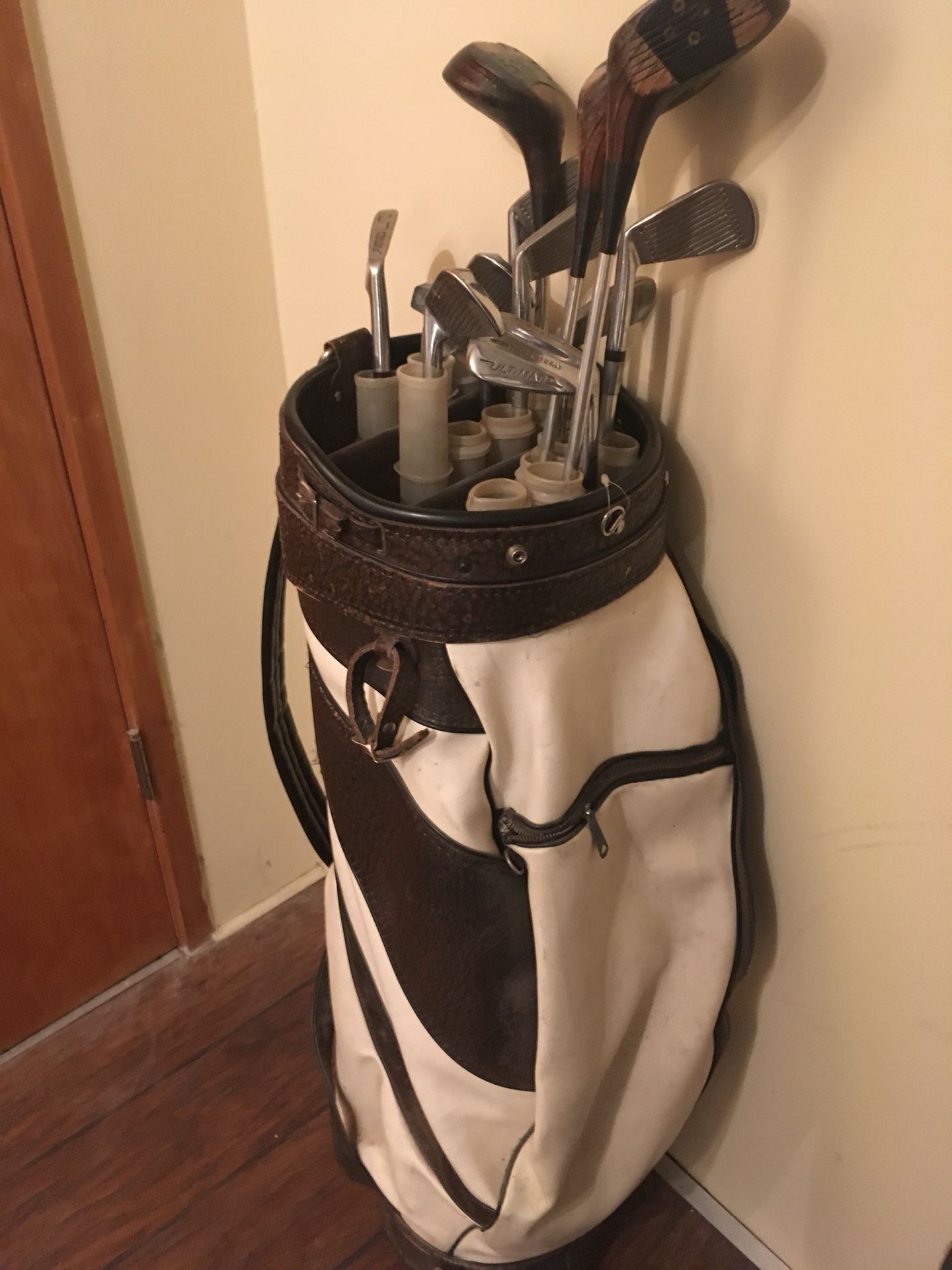 Golf clubs with bag