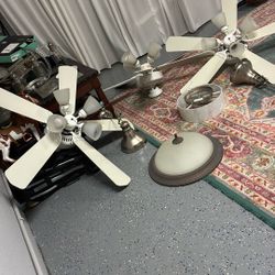 Tree Fan  $50 For Light  $40 