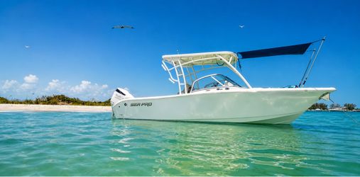 2025 SeaPro 240 Dual Console