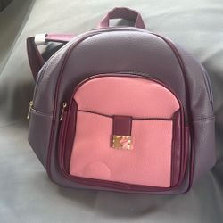 Bulto Cartera 