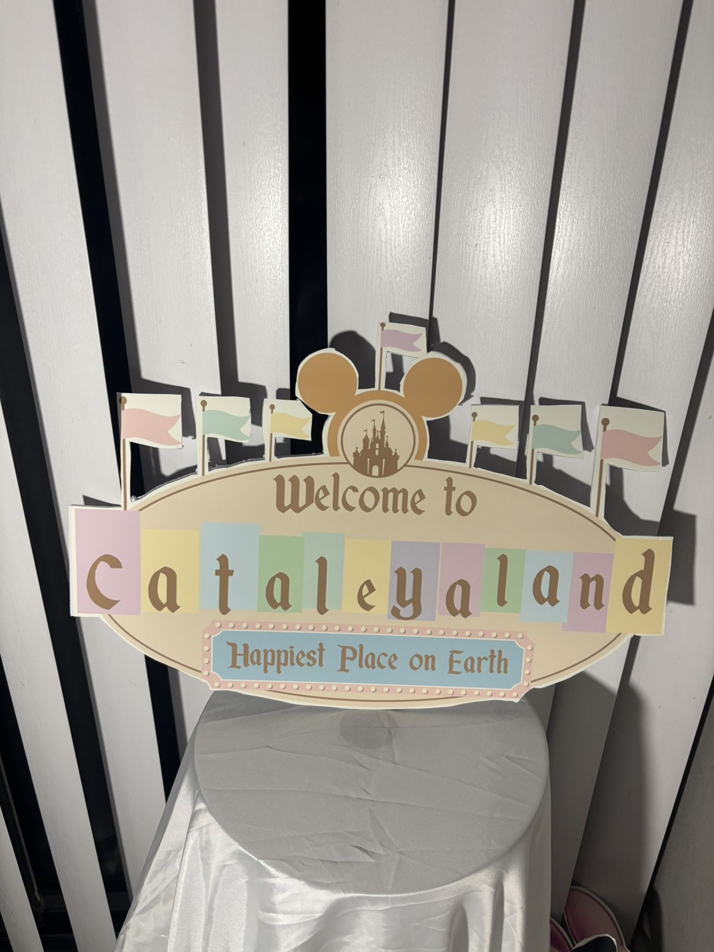 Disney Party Decorations Land Theme Disneyland