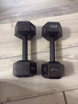 20 lb Hex Dumbbells Pair