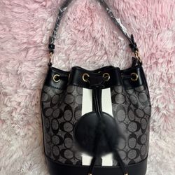 C / oach Bag & Wallet 