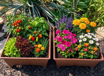 Large Raised Garden Planter Boxes Set of 2