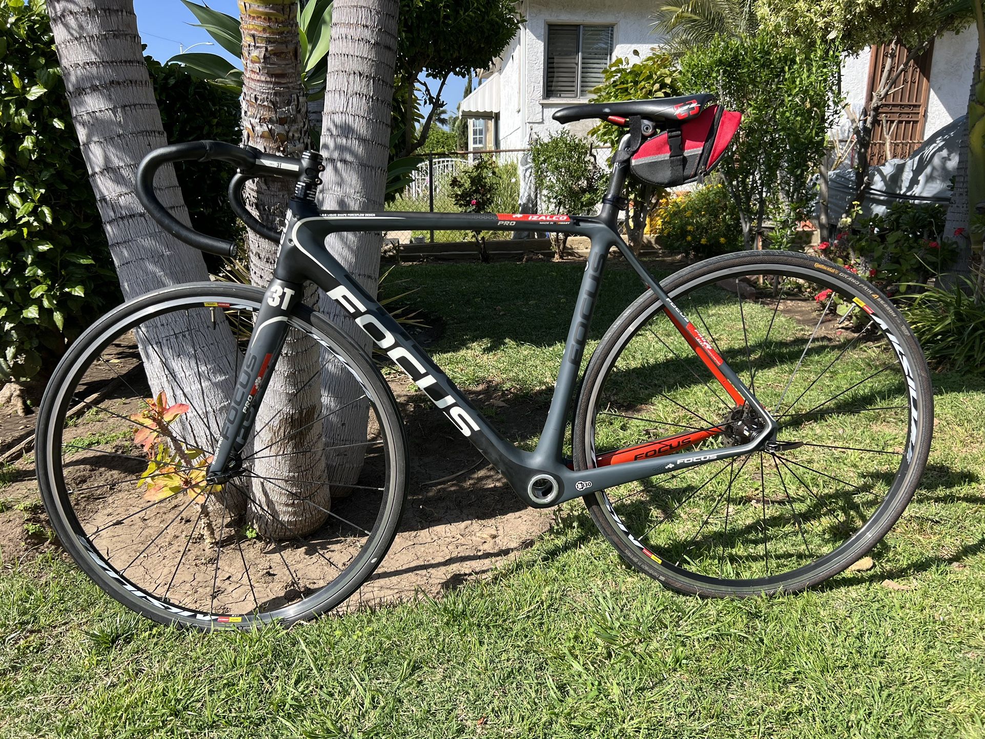 Focus 2024 izalco pro