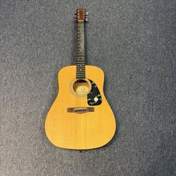 Fender Acoustic 