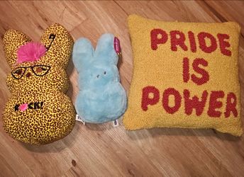 2 plush peep dolls (blue can warm in microwave) & a pride is power pillow