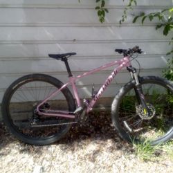 Specialized Mountain Bike 29" Rims