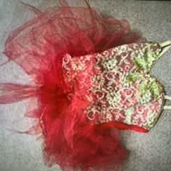 Vintage Small Red Tutu Costume
