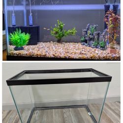 Full Aquarium Setup