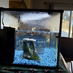 Corner Fish Tank 