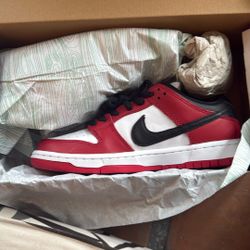 Nike Sb Dunk Low Pro