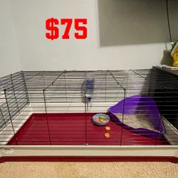 Cage