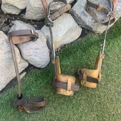 Buckinghang Pole /tree Climbing