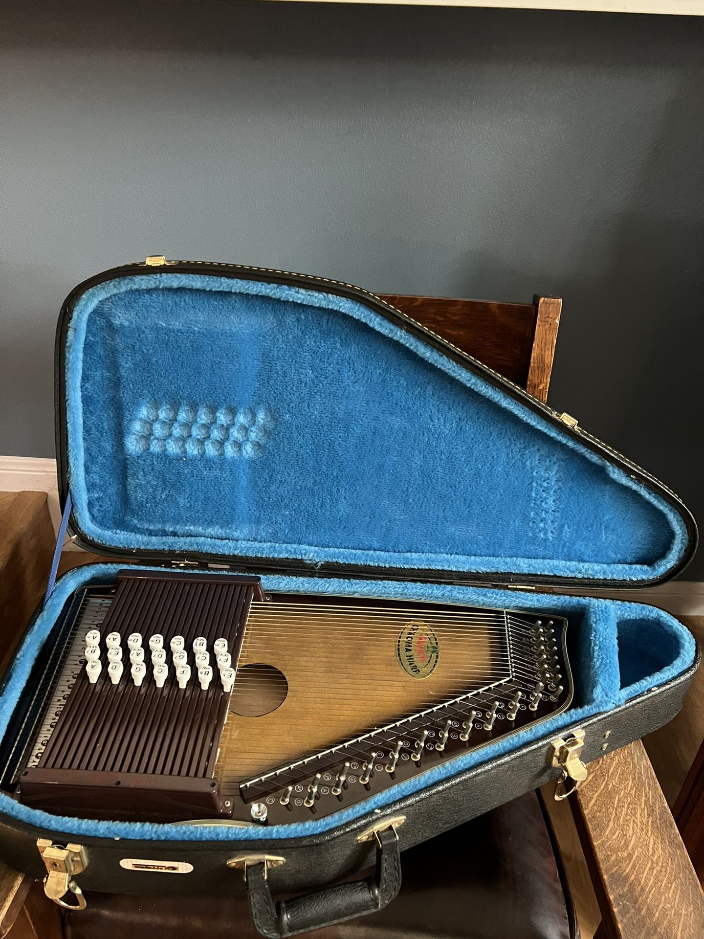 Vintage Samick Chroma Harp In Hard Case