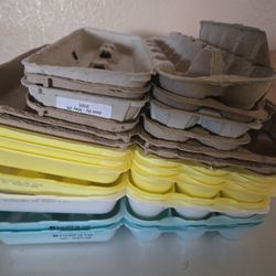 Empty Egg Cartons 