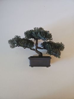 Artificial Bonsai Tree in Rectangular Pot