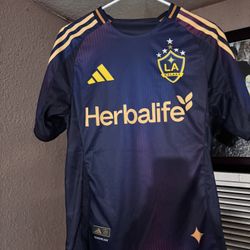 La Galaxy shirt away player version 