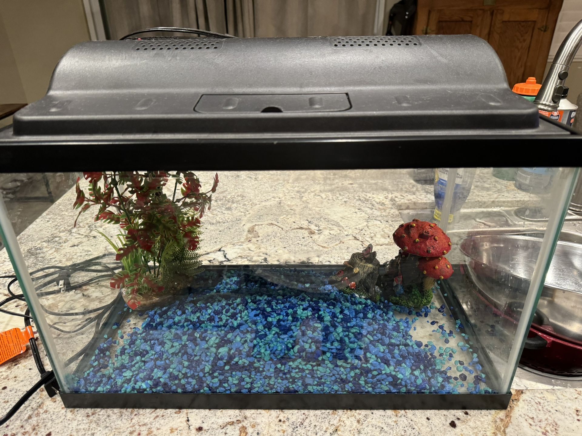 Fish Tank