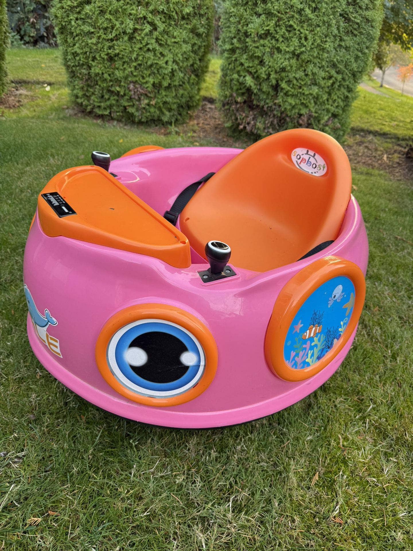 Bumper Car / Toddler Remote Car
