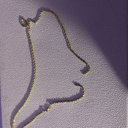 14 K Rope Chain Broken.