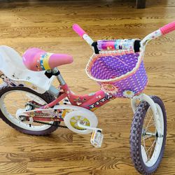 Titan Girl's Flower Princess 16 Inch Kids Toddler Bicycle with utility basket and special doll seat